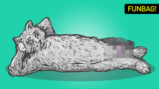 Help! My Cat Wants A Handjob!